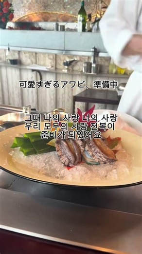 일본최고철판요리집日本一位鉄板焼き#グルメ#일본#일본여행 #맛집#일본브이로그 #鉄板焼き#料理#グルメツアー #グルメ番組 #銀座#表参道グルメ #表参道