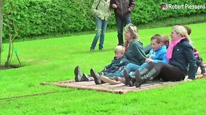 Belgian Draft Horses pull the flying carpet | Horse Grapevine