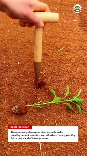 Smart Planting Tools You Must Try – This Simple Tool Makes Perfect Holes Instantly!