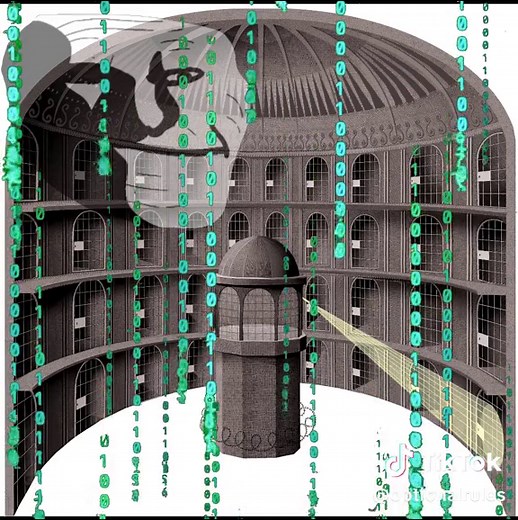 caveman #caveman #meme #funnyvideos