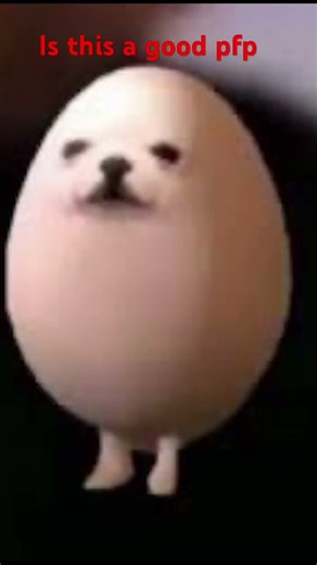 Funny pfp #funny #memes