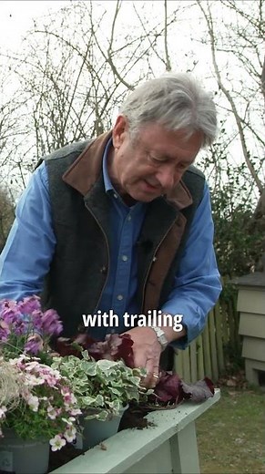 The Secret to a Stunning Spring Garden!