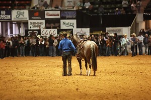 14K views · 239 reactions | Chris Dawson was turning heads as he became the 2024 Open Snaffle Bit Futurity Champion! | Western Horseman | Facebook