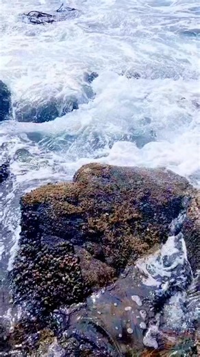 Sara Inés Coloma Ventura on Reels