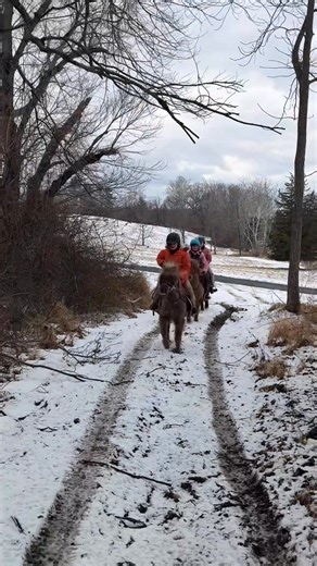 Imogen and her friends went for a cross country ride through the woods with Regina Welsh #snowday #pony #ponyjumper U.S. Pony Racing | Tom Weaver