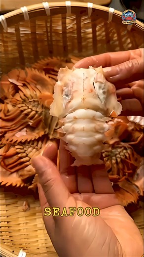 Perfect Slipper Lobster Prep Edition🦞— Clean, Easy, Satisfying #lobster #slipperlobster #seafoodprep