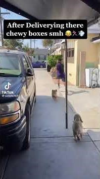 DOGS CHASING DELIVERY DRIVERS FUNNY MOMENTS 2023 🤣 | Funny TikTok Compilation (Try Not To Laugh) #2