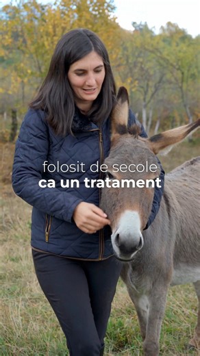 Știați că laptele de măgăriță este folosit de secole ca tratament natural pentru tuse și probleme respiratorii? 🥛✨ Fiecare sticlă aduce cu sine tradiție, natură pură și grijă pentru sănătate, fiind produsă cu pasiune și respect pentru calitate 🐑🌿 Descoperiți gustul fin și natural al laptelui de măgăriță – o experiență autentică de la stână direct la voi acasă! 🍂 📍 Îl găsiţi în: * Râmnicu Vâlcea – Str. Luceafărului, colț cu 4People, zona Cina – Ostroveni * Horezu – Str. Tudor Vladimirescu 44