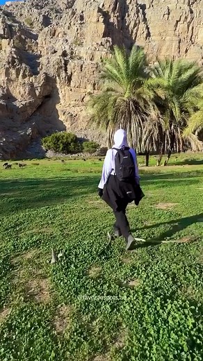 Explore the Hidden Oasis of Jebel Jais