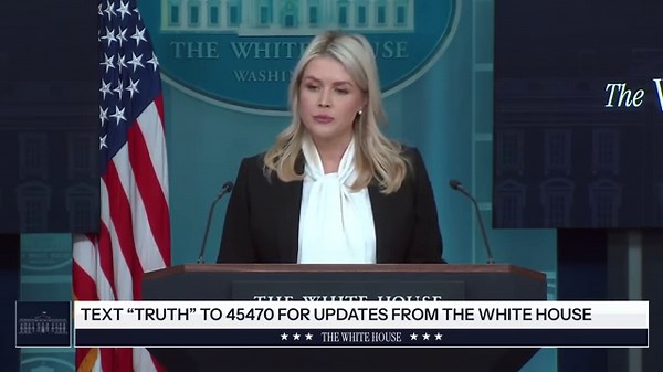 'We are working on it': Karoline Leavitt gives no guarantees gas prices will come down anytime soon during press briefing