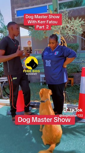 Dog Master on TikTok