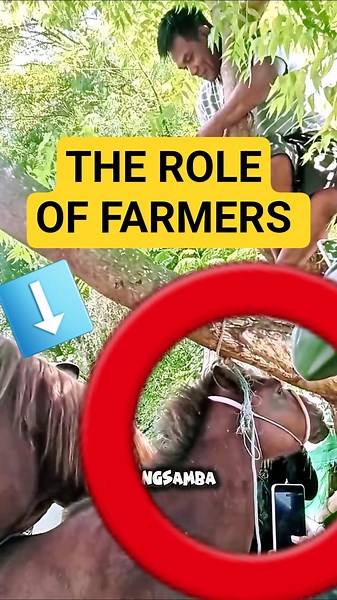 AFTER PROCESS: Farmers’ Role After the Process Ends🐎 #horse #farm #documentary #shorts