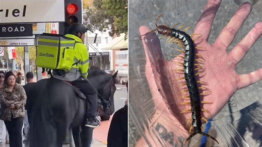 21 Weirdly Interesting Images Shared With The World