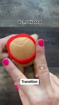 Here’s a demo of what your cervix does in labor and childbirth! Now the cervical dilation numbers