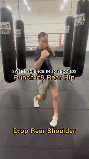 Rear Body Hook Technique | Punch #8 Fundamentals