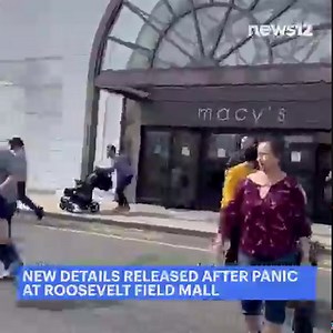 UPDATE: Police say a large fight sparks panic among shoppers at Roosevelt Field Mall. (Courtesy: Ari Sy) - https://bit.ly/3vzA3gM | News 12 Long Island