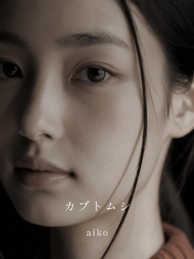 カブトムシ aiko 歌詞解説と心に残るフレーズ