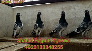 8.2K views · 1K reactions | Step into the world of beauty and grace...