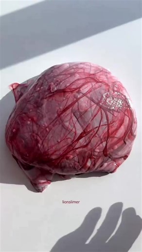 Como Fazer Órgão Slime: Tutorial Passo a Passo