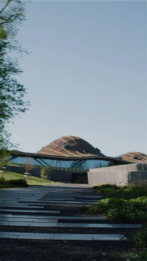 How To Make Scotch Whisky