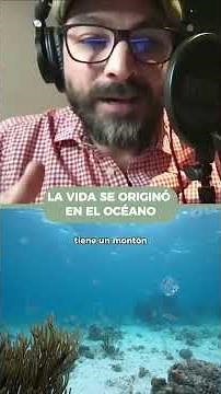 La vida en el mar y la sal