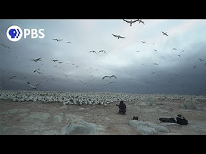 Making of "The Ocean's Greatest Feast"