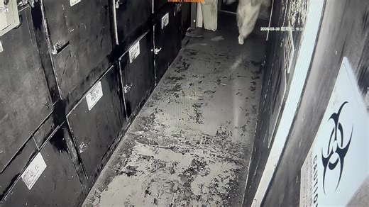 该怎么哄被吓到的玩家呢#密室逃脱 #人气密室逃脱馆推荐 #监控下的一幕 #真人密室逃脱 #Npc#tiktok #tiktokviral #tiktoknews #xhhhhhhhhhhhhhhhhhhhhhhh #xuhuong #xh #xuhuongtiktok #viral #viralvideo #viraltiktok #viral_video #hot #view #views #hottrend #tym #traitim #traitimemcungbietdau #Daudon #thinhhanh