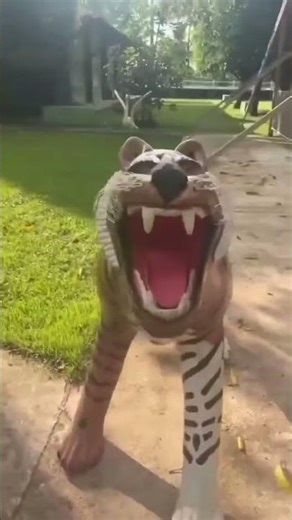 Weird ahh tiger statue🐯😂