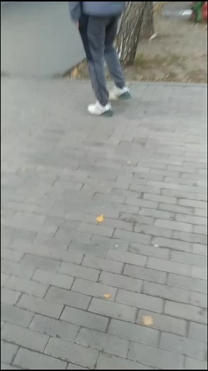 Відео користувача _dead_insait_👉👈 (@dead_insait911) з композицією «»