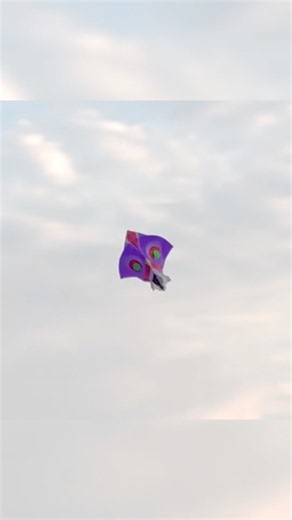 Big Kite Flying 2026 | Happy Independence Day | Patang Ki Video | Yogesh 01