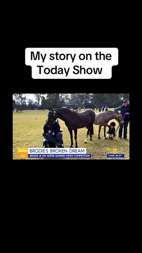 Horses and Stories: Insights from The Today Show