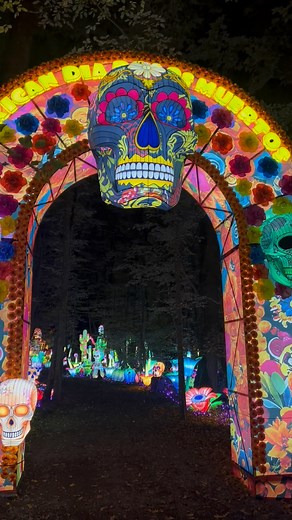 Plongez au cœur du Mexique… sans quitter le Zoo d’Amnéville 🇲🇽 ! Avec Luminescences, découvrez un univers fascinant où traditions, culture et la mythique fête de Día de los Muertos s’illuminent sous vos yeux pour un voyage magique 🌵💃. Et vous quel univers vous transporte le plus 🤩 ? | Zoo d'Amnéville