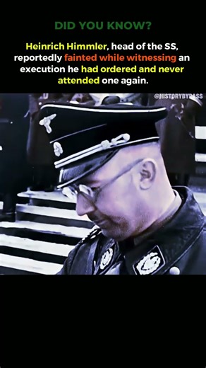 Heinrich Himmler Fainted at His Own Ordered Execution? 😳 WWII Shocking Fact #shorts #usa