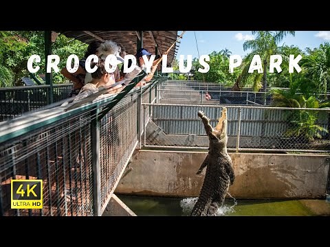 Crocodylus Park Darwin Walking Tour | 4K Ultra HD | Witness Giant Saltwater Crocodiles Feeding! 🐊
