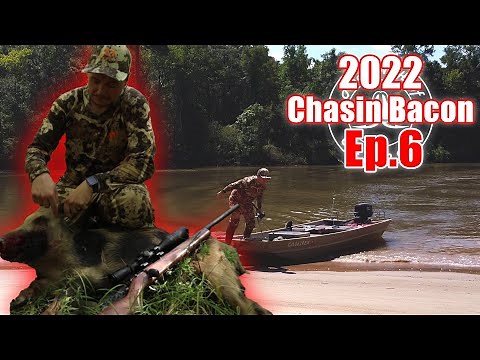 Hog Hunting On The River | Georgia Public Land