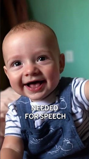 Why do babies babble❓