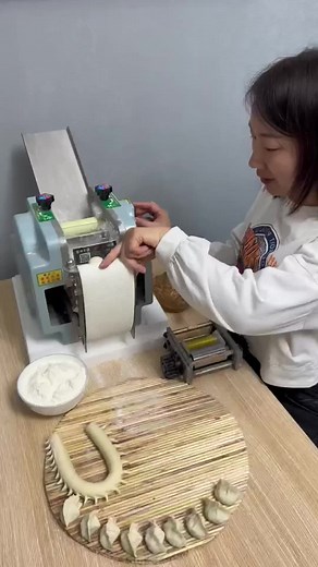 Dumpling-Making Machine in Action: Easy Recipe Guide
