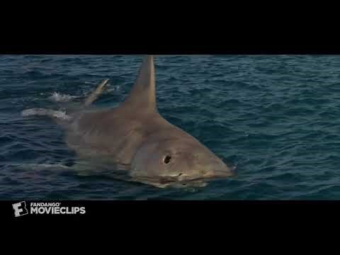 Jaws is Baby Shark!!!!