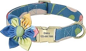 Beirui Custom Flower Girl Dog Collar for Female Dogs- Floral Pattern Engraved Pet Collars with Personalized Gold Buckle(Ocean, S)