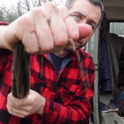 Project Kamp on Instagram: "Did you already see our special winter update? Its been exactly 5 years since we came to the land and started with wet socks. Here a little clip that shows a good overview of everything we did in 5 years. Lots done. But much more to do. We’re just getting started! Applications are now open and you can signup to come and help Season 6. This will be an important defining year for the future of project kamp! Come and help in the kitchen, videoteam, graphics. See all appl