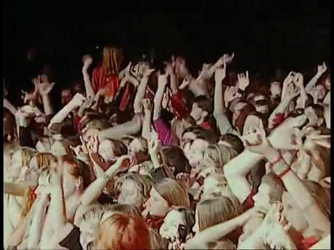Звери - Районы, кварталы