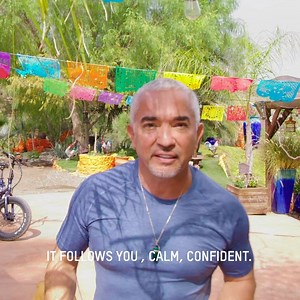 Always practice calm confidence ❤️ a simple #dogtip goes a long way! 🐾 | Cesar Millan