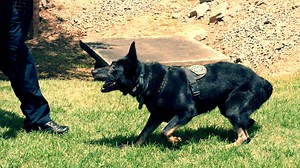 KPD Recruitment Video