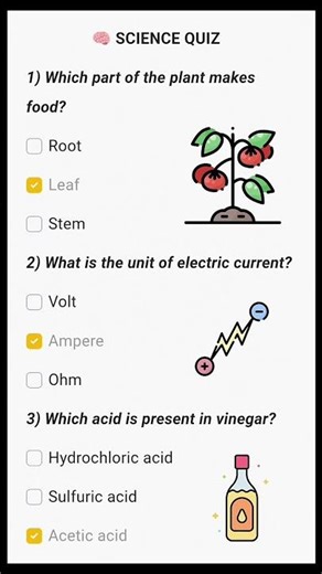 “The Great Science Quiz – How Much Do You Really Know?”