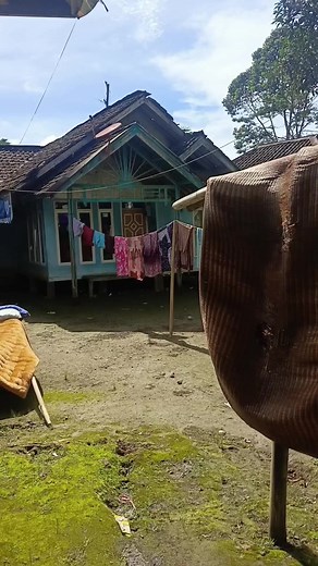 obat rindu kampung halaman 🙂 #suasanapagipedesaaan #garutvibes #pedesaan #kampunghalaman #exsploregarut