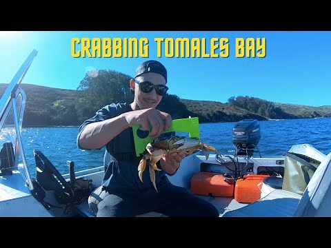 Crabbing with Hoop Nets in Tomales Bay for DUNGENESS CRAB!
