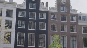 10K views · 449 reactions | Every year, Amsterdam’s elm trees scatter the city’s streets with a blanket of blossom that is known as ‘spring snow’. To celebrate this phenomenon (and spring itself), the city holds a special Springsnow Festival: https://bit.ly/2WFuxW5. | I amsterdam | Facebook