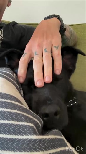 The best ears | Radar & O'Reilly
