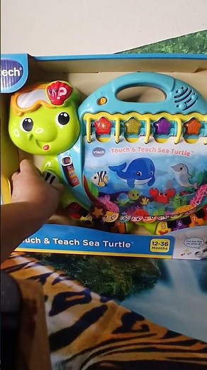 touch and teach/ sea turtle #vtech #adorable
