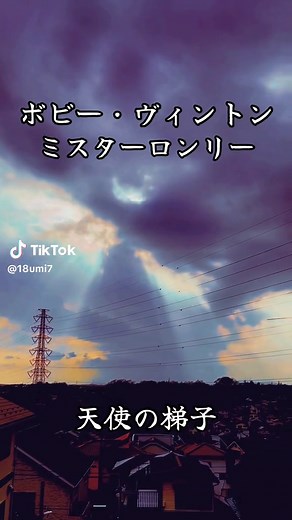 ジェットストリームでもお馴染みのミスターロンリー。孤独な若い兵士の心情が胸を打つ🥹 #bobbyvinton #MrLonely #60年代洋楽 #天使の梯子